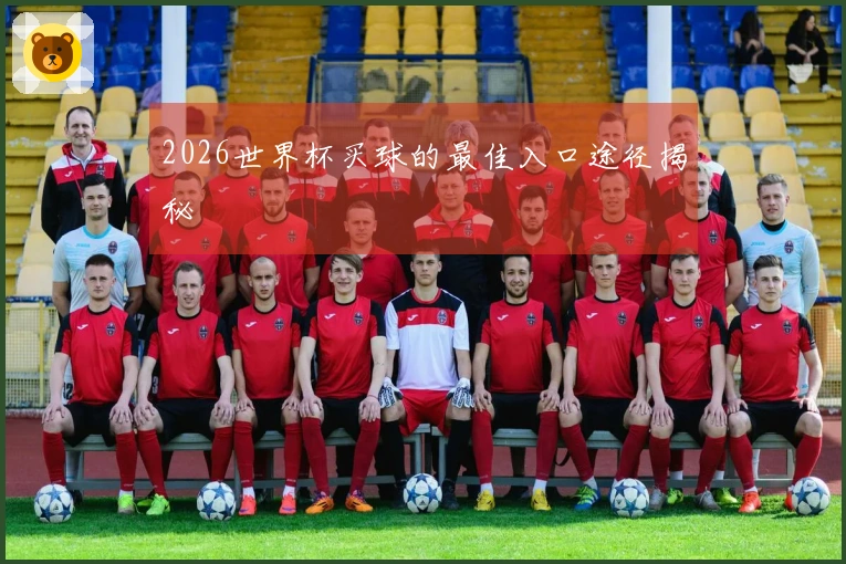 2026世界杯买球的最佳入口途径揭秘