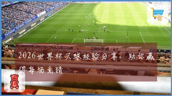 2026世界杯买球经验分享，助你赢得每场竞猜