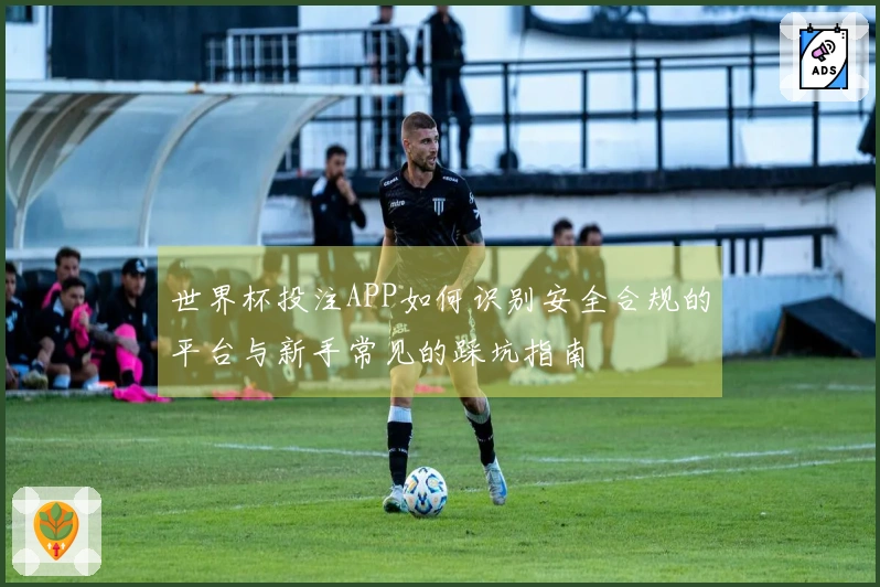 世界杯投注APP如何识别安全合规的平台与新手常见的踩坑指南