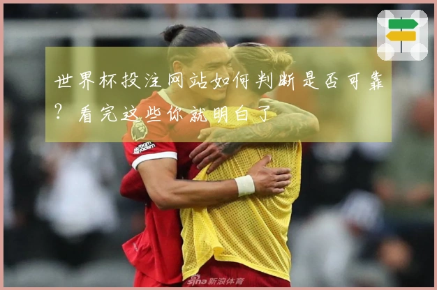 世界杯投注网站如何判断是否可靠?看完这些你就明白了