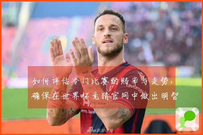 如何评估冷门比赛的赔率与走势，确保在世界杯竞猜官网中做出明智选择