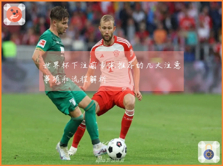 世界杯下注前专家推荐的几大注意事项和流程解析