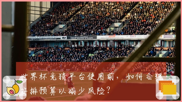 世界杯竞猜平台使用前，如何合理安排预算以减少风险？