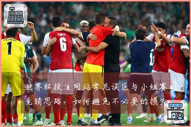 世界杯投注网站常见误区与小组赛竞猜思路，如何避免不必要的损失
