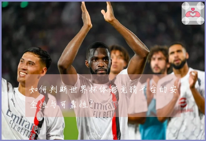 如何判断世界杯体彩竞猜平台的安全性与可靠性？