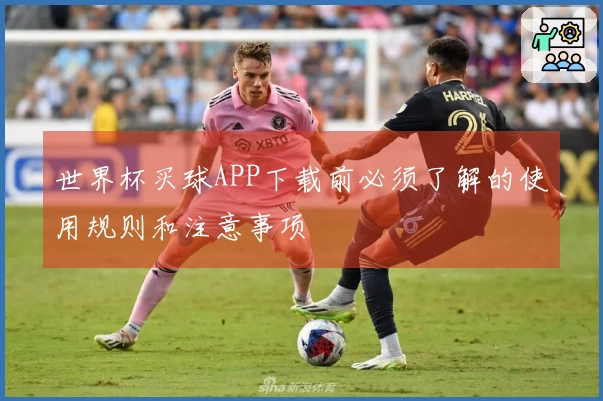 世界杯买球APP下载前必须了解的使用规则和注意事项