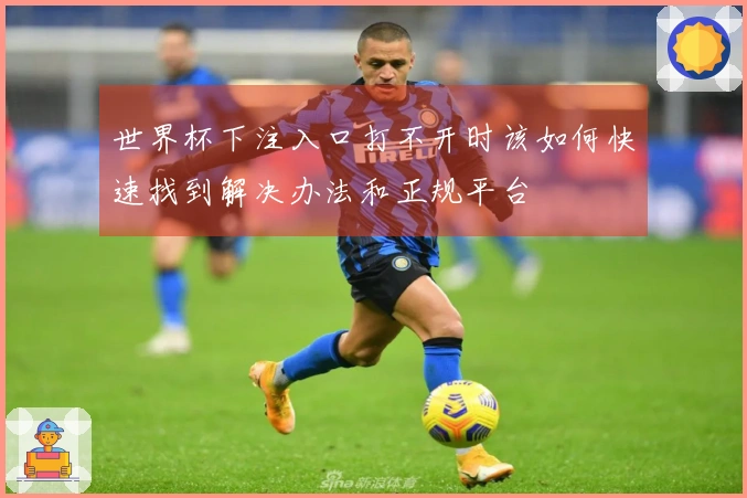 世界杯下注入口打不开时该如何快速找到解决办法和正规平台