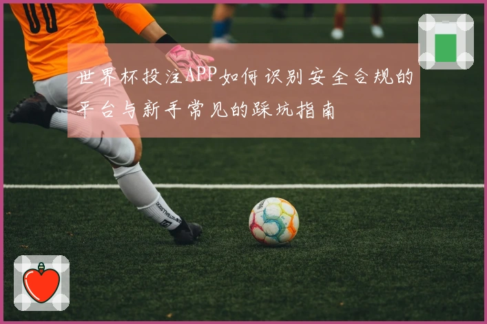 世界杯投注APP如何识别安全合规的平台与新手常见的踩坑指南