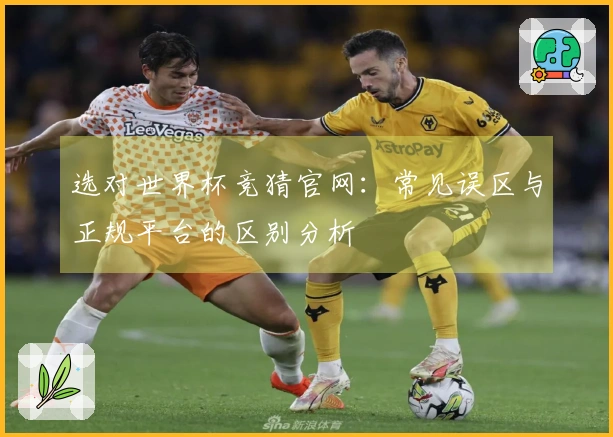 选对世界杯竞猜官网:常见误区与正规平台的区别分析