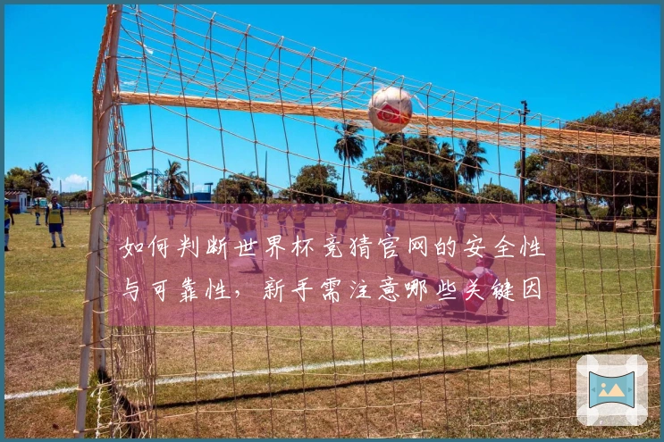 如何判断世界杯竞猜官网的安全性与可靠性，新手需注意哪些关键因素？