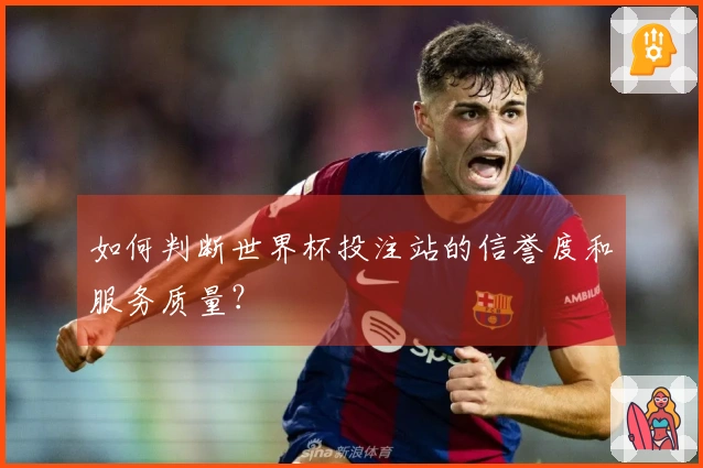 如何判断世界杯投注站的信誉度和服务质量？