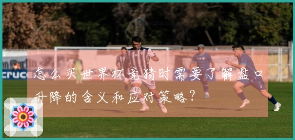 怎么买世界杯竞猜时需要了解盘口升降的含义和应对策略？