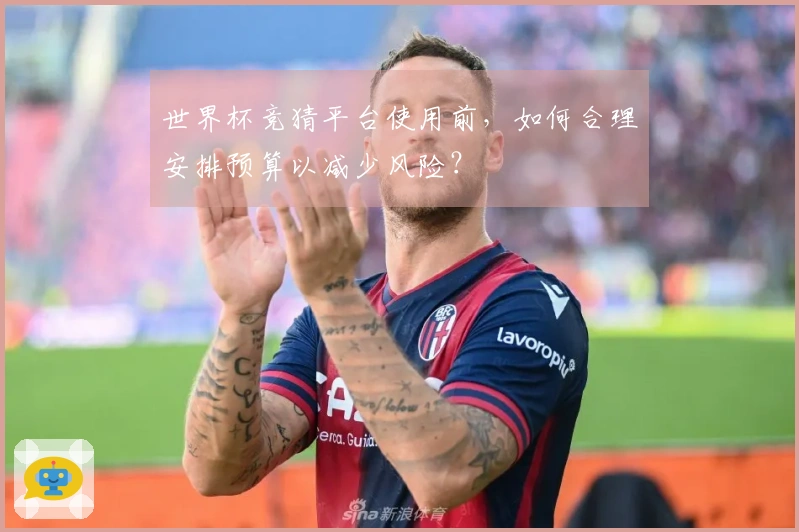 世界杯竞猜平台使用前，如何合理安排预算以减少风险？
