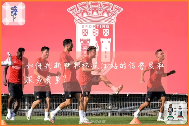 如何判断世界杯投注站的信誉度和服务质量？