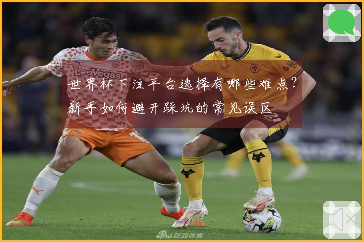 世界杯下注平台选择有哪些难点？新手如何避开踩坑的常见误区