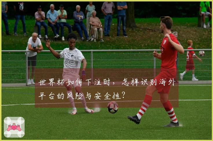 世界杯如何下注时，怎样识别海外平台的风险与安全性？