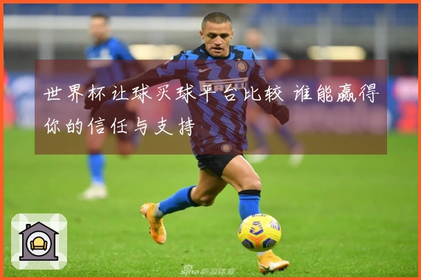世界杯让球买球平台比较 谁能赢得你的信任与支持