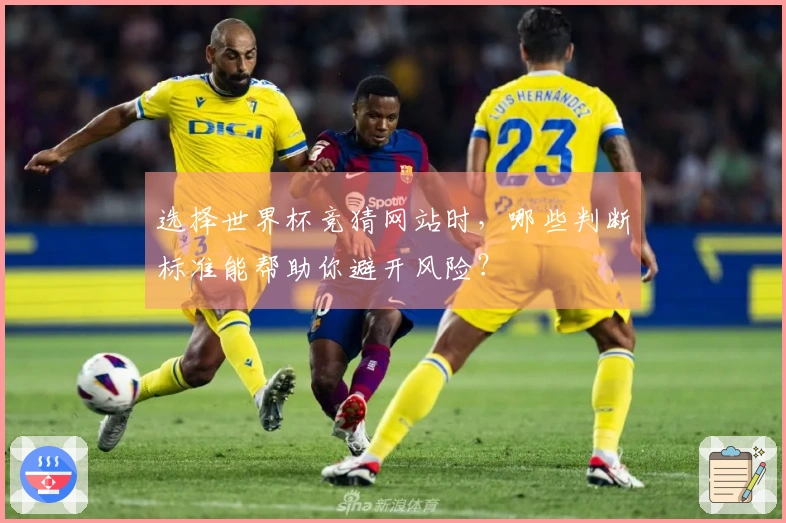 选择世界杯竞猜网站时，哪些判断标准能帮助你避开风险？