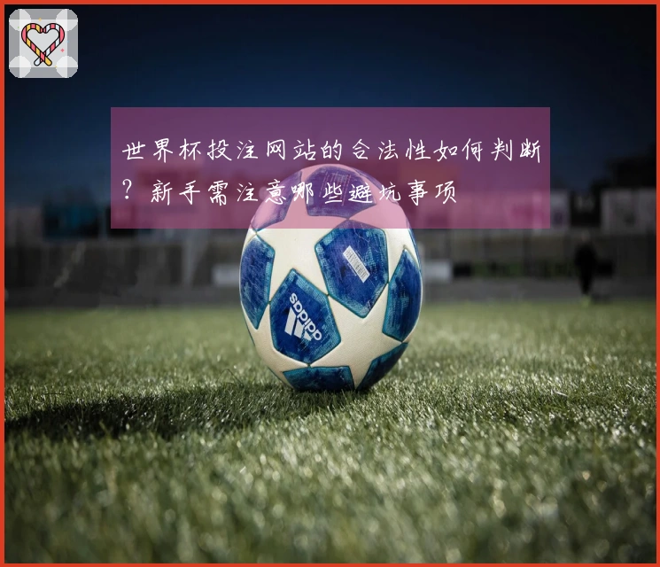 世界杯投注网站的合法性如何判断？新手需注意哪些避坑事项