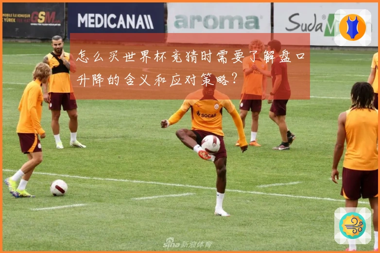 怎么买世界杯竞猜时需要了解盘口升降的含义和应对策略？