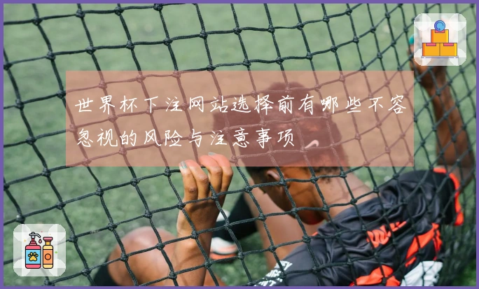 世界杯下注网站选择前有哪些不容忽视的风险与注意事项